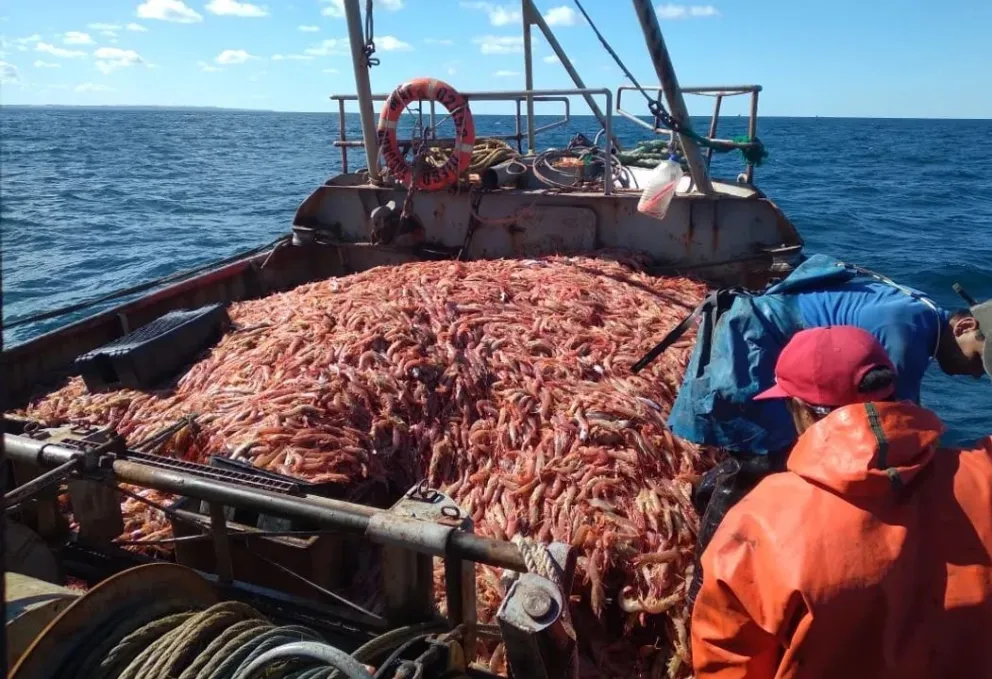 El conflicto por la zafra del langostino sumó nuevos episodios de alta tensión.
