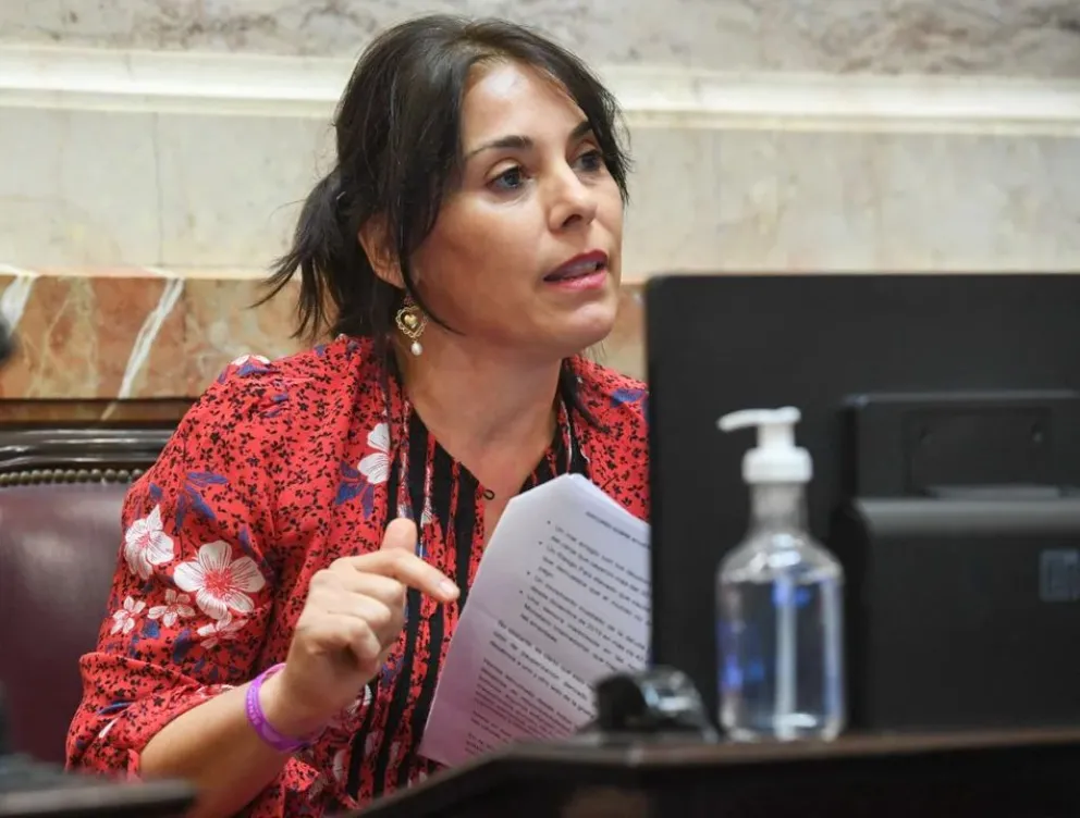 Ex senadora nacional por Neuquén Lucila Crexell.