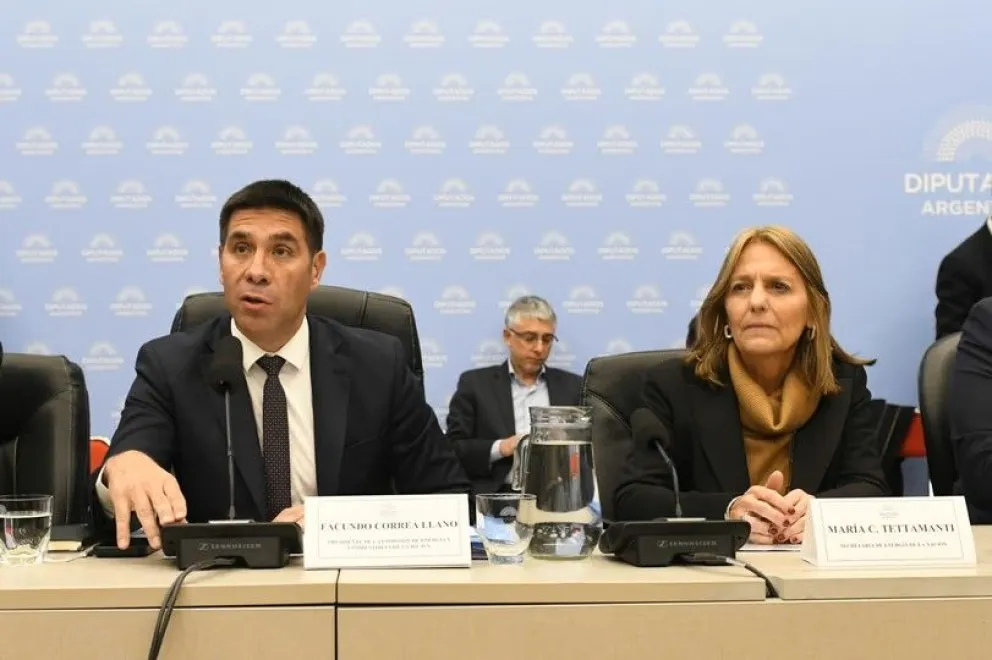 El presidente de la comisión de Energía, Facundo Correa Llano, y la secretaria de Energía, Carmen Tettamanti
